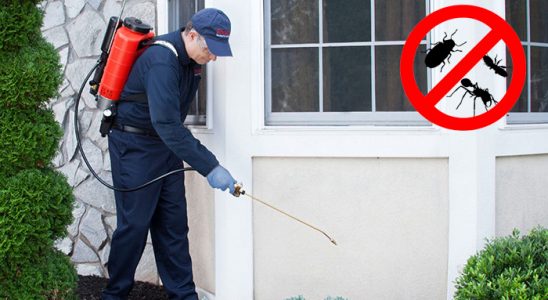 Hisarcık Akrep İlaçlama böcek ilaçlama ve haşere kontrolü — ilaclama-tr.com